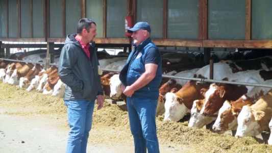 Facem Consultanţă pentru Performanţă! Facem Consultanţă pentru Performanţă!