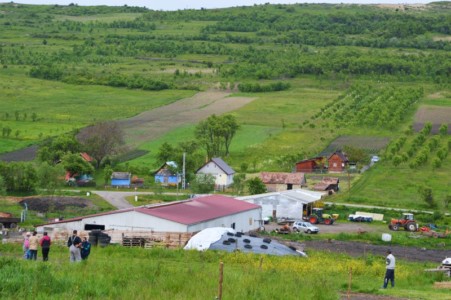 Facem Consultanţă pentru Performanţă! Facem Consultanţă pentru Performanţă!