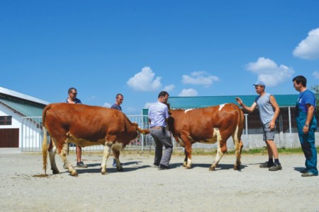 Facem Consultanţă pentru Performanţă! Facem Consultanţă pentru Performanţă!