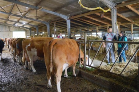 Facem Consultanţă pentru Performanţă! Facem Consultanţă pentru Performanţă!