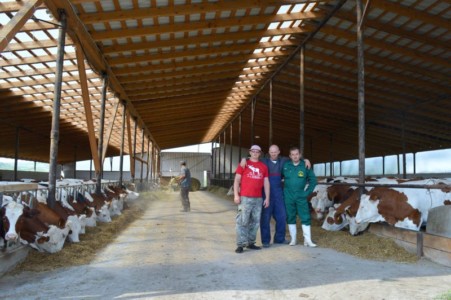 Facem Consultanţă pentru Performanţă! Facem Consultanţă pentru Performanţă!