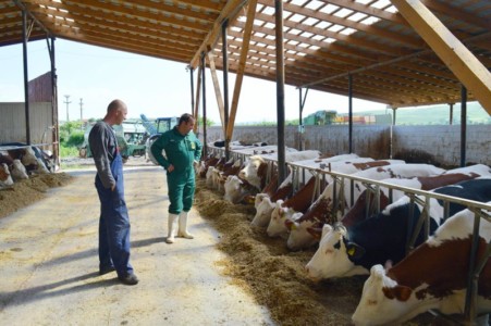 Facem Consultanţă pentru Performanţă! Facem Consultanţă pentru Performanţă!