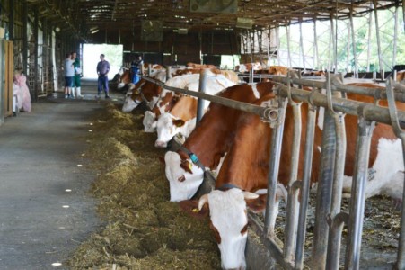 Facem Consultanţă pentru Performanţă! Facem Consultanţă pentru Performanţă!