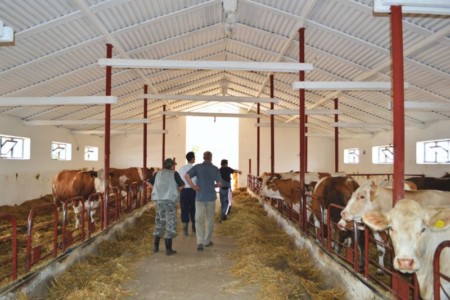 Facem Consultanţă pentru Performanţă! Facem Consultanţă pentru Performanţă!