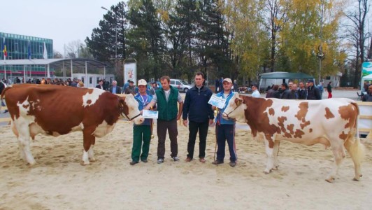 Facem Consultanţă pentru Performanţă! Facem Consultanţă pentru Performanţă!