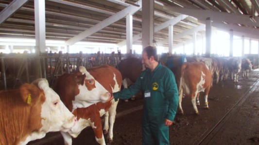 Facem Consultanţă pentru Performanţă! Facem Consultanţă pentru Performanţă!