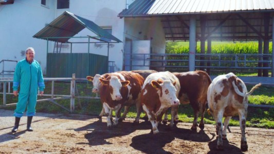 Facem Consultanţă pentru Performanţă! Facem Consultanţă pentru Performanţă!