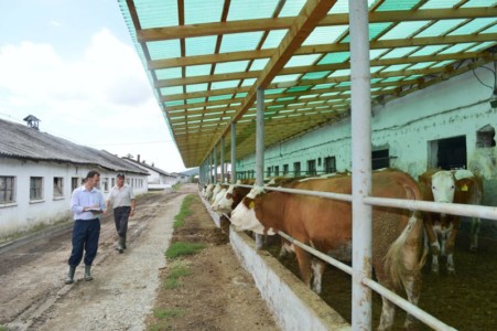 Facem Consultanţă pentru Performanţă! Facem Consultanţă pentru Performanţă!