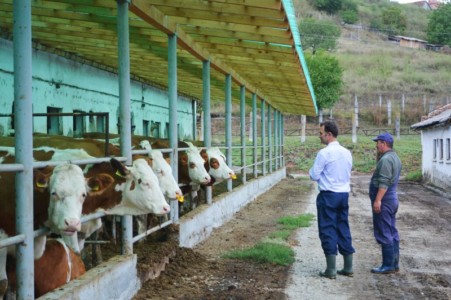 Facem Consultanţă pentru Performanţă! Facem Consultanţă pentru Performanţă!