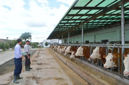 Facem Consultanţă pentru Performanţă! Facem Consultanţă pentru Performanţă!