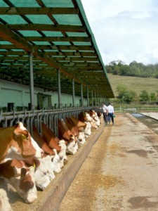 Facem Consultanţă pentru Performanţă! Facem Consultanţă pentru Performanţă!