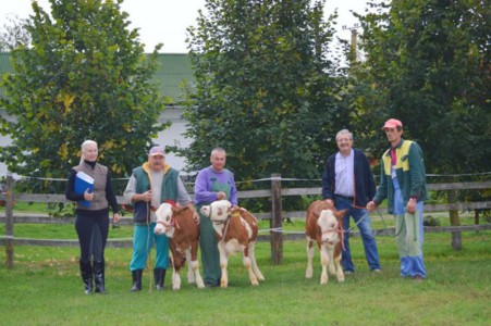 Facem Consultanţă pentru Performanţă! Facem Consultanţă pentru Performanţă!