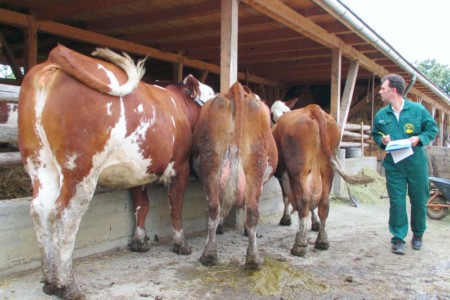 Facem Consultanţă pentru Performanţă! Facem Consultanţă pentru Performanţă!