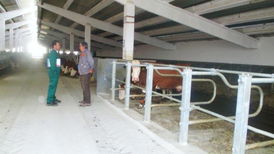 Facem Consultanţă pentru Performanţă! Facem Consultanţă pentru Performanţă!