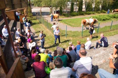 SIMFEST 2018 SIMFEST 2018