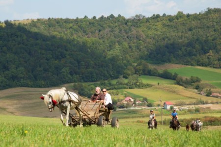 SIMFEST 2018 SIMFEST 2018