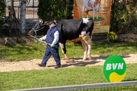 Semtest BVN, Material seminal taur, Parada Taurilor 2026 – a XXIV-a ediție 53 Parada Taurilor 2026