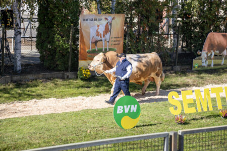 Semtest BVN, Material seminal taur, Parada Taurilor 2026 – a XXIV-a ediție 47 Parada Taurilor 2026