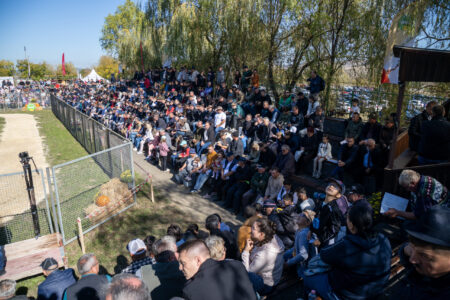 Semtest BVN, Material seminal taur, Parada Taurilor 2026 – a XXIV-a ediție 44 Parada Taurilor 2026