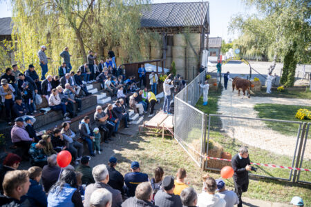 Semtest BVN, Material seminal taur, Parada Taurilor 2026 – a XXIV-a ediție 39 Parada Taurilor 2026