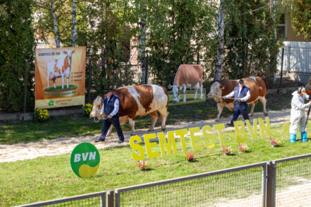 Semtest BVN, Material seminal taur, Parada Taurilor 2026 – a XXIV-a ediție 36 Parada Taurilor 2026