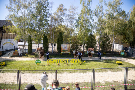 Semtest BVN, Material seminal taur, Parada Taurilor 2026 – a XXIV-a ediție 16 Parada Taurilor 2026